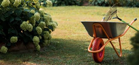 Práca v záhrade podľa lunárneho kalendára