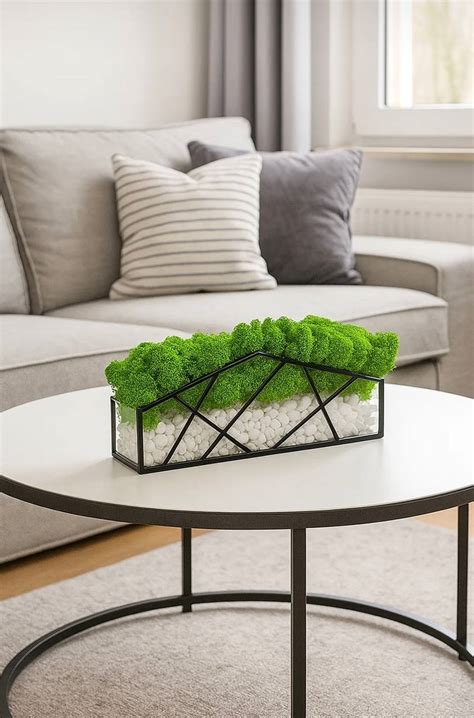 zenové záhrada s kameňmi a vodou