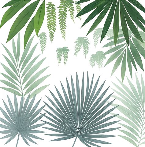 Detail palmových listov na seychelských bankovkách