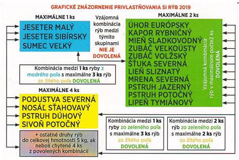 Symbolické znázornenie spojenia Škorpióna a Rýb