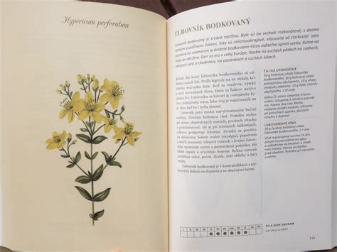 Ilustrácia byliniek a kúpeľovej peny