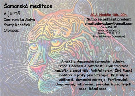 Šamanské artefakty