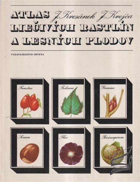 Ilustrácia rôznych druhov liečivých rastlín