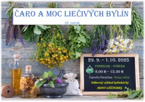 Ilustrácia liečivých bylín